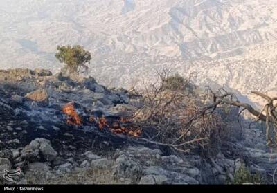 همدلی کوه سفید لنده را از چنگال آتش نجات داد؛ پایان عملیات نفس‌گیر مهار حریق - تسنیم