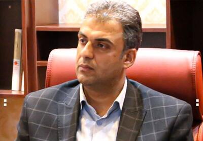 پاریزی؛ مدیرعامل جدید مس رفسنجان - تسنیم