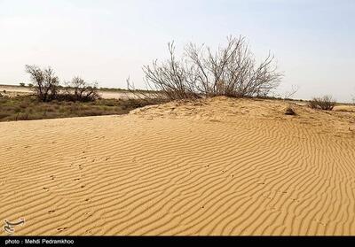 بیابان‌زایی در کمین  306 هزار هکتار از مراتع گلستان - تسنیم