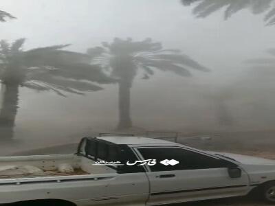 خسارت طوفان و باران به نخل‌داران حاجی‌آباد