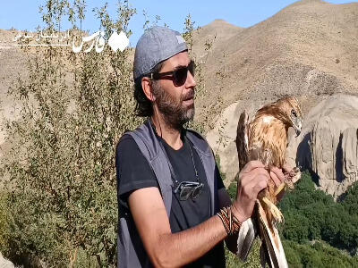 «عقاب» زخم‌خورده مراغه دوباره اوج گرفت