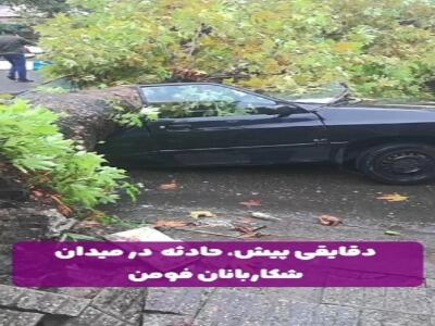 سقوط خسارت‌بار درخت‌های چنار