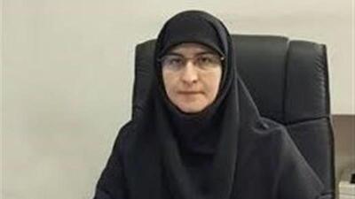 کاهش تکرار پایه در مدارس ابتدایی/ طرح «حامی» 49 درصد تجدیدی‌ها را کاهش داد