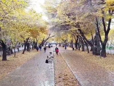 چهار فصل زیبای خیابان تاریخی چهارباغ اصفهان