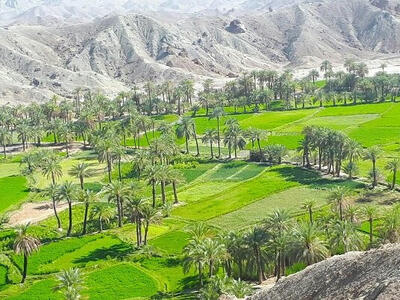 قصرقند؛ بهشت طعم‌های دل‌چسب سیستان و بلوچستان