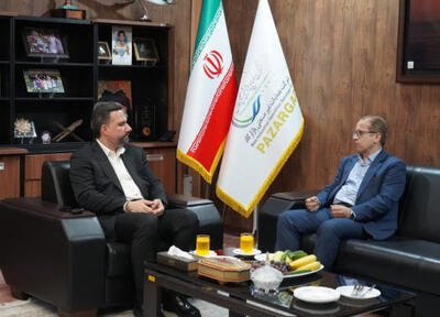 نقش پازارگاد در پشتیبانی از تولید در پارس جنوبی
