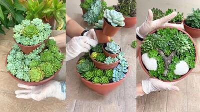 روشی بسیار زیبا برای چیدن انواع کاکتوس / دیگه کاکتوس رو ساده تو گلدون نزار