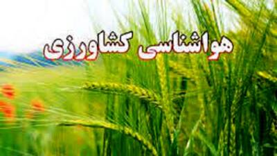 بارش شدید و تگرگ در ۲ استان کشور/ کشاورزان مراقب باشند