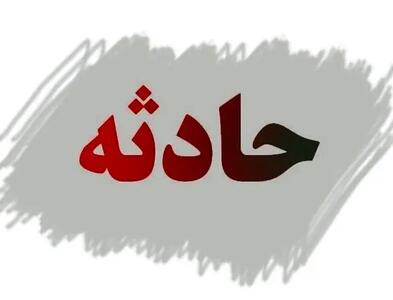 مرد گمشده در ترمینال جنوب کارتن‌خواب شده بود