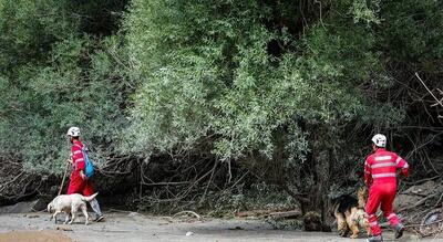 سرنوشت ۲۰ گردشگر گم شده در جنگل دلفور چه شد؟