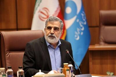 کمالوندی:برای تصویب قطعنامه پیشنهادی ایران تلاش می‌کنیم