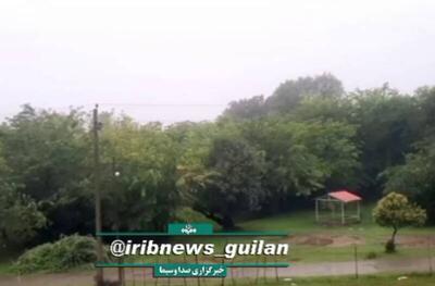 فیلم/ بارش باران در آستارا