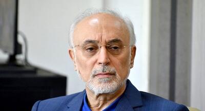 انتقاد علی اکبر صالحی از محتاط کردن عراقچی