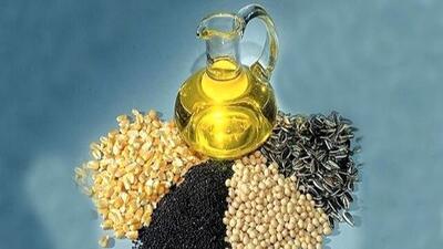 چگونه دانه‌ های روغنی سلامت قلب و متابولیسم را تضمین می‌ کند؟