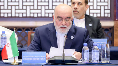 ناصر سراج: عفو معیاری یک دستاورد حقوق بشری است