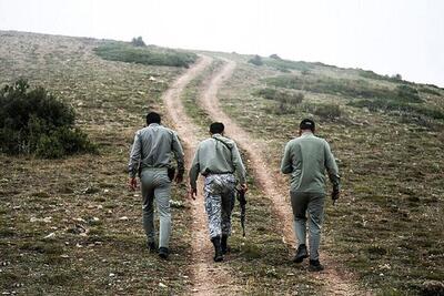 تلاش سازمان منابع طبیعی برای حمایت قانونی از جنگل‌بانان