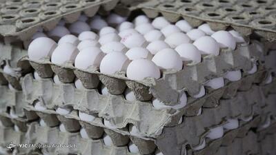 قیمت مصوب جدید تخم مرغ به زودی اعلام می‌شود