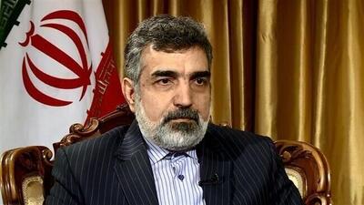 کمالوندی: آمریکا با قطعنامه ممنوعیت حمله به تأسیسات هسته‌ای مخالف است
