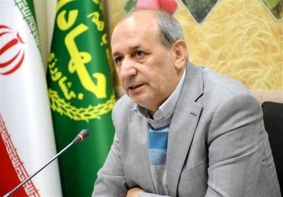 هوراند قطب سماق کشور می‌شود/ آغاز توسعه باغات در 500 هکتار اراضی ملی - تسنیم