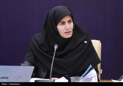 نیازمند اقدام جدی در تأمین مالی پروژه‌های استان زنجان هستیم - تسنیم