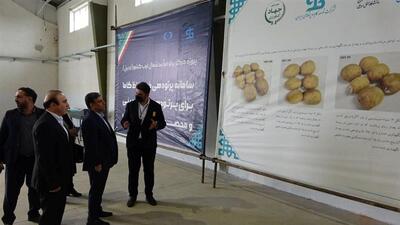 استاندار: مرکز پرتودهی محصولات کشاورزی اردبیل افتتاح می‌شود