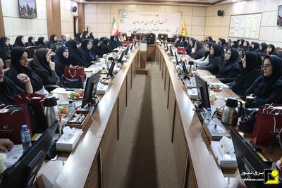 نشست بانوان برق پایتخت با دستگاه‌های اجرایی استان تهران