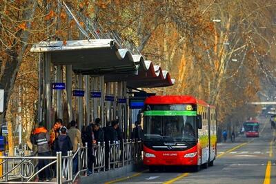 حیوان خانگی عجیب یک خانم در بی آرتی توجه‌برانگیز شد