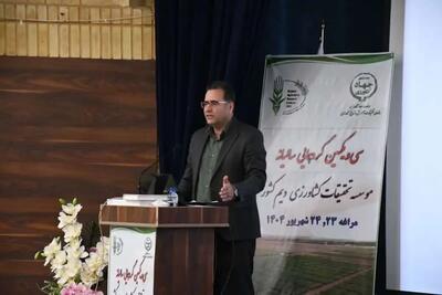 کشاورزی دیم، آینده امنیت غذایی کشور است