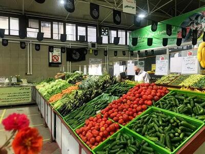 قطعی برق ۱۰ ساعته چاه‌های کشاورزی؛ چرا صیفی‌جات گران شد؟