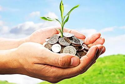 بهترین سکوی تامین مالی جمعی چه ویژگی‌هایی دارند؟