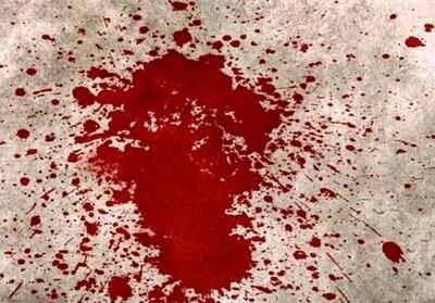 قتل برادر در تهران؛ سناریوی زورگیری ساختگی فاش شد