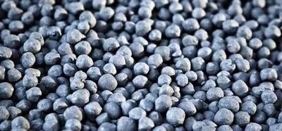 پیمان ژئوفیزیکی، چادرملو به دنبال استقلال معدنی در زنجیره فولاد