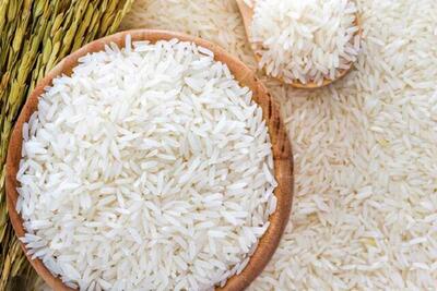 احتکار دلالان و بی‌ثباتی قیمت برنج؛ نیمی از جامعه توان خرید برنج ایرانی را ندارد - ایران ویو 24