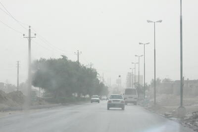 پیش‌بینی هواشناسی برای وقوع غبار محلی و مه صبحگاهی در برخی نقاط بوشهر
