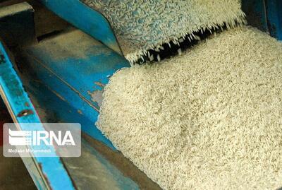 قیمت برنج ایرانی بدون تغییر/ کشاورزان از عرضه عقب‌نشینی کردند