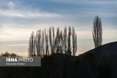 پیش‌بینی بارش پراکنده باران در مناطق کوهستانی البرز