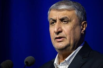 اسلامی: ایران به تعهدات پایبند است؛ حملات به تأسیسات غیرقانونی و ظالمانه
