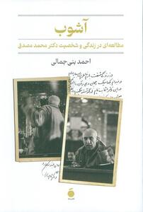 آشوب، بیرون‌کشیدن مصدق از هاله اسطوره‌