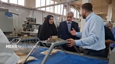 نان صنعتی گامی مؤثر در اشتغال‌زایی و ارتقای کیفیت مصرف است