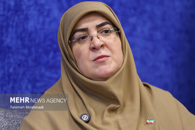 مهاجرانی: همکاری‌های اقتصادی با همسایگان در اولویت است
