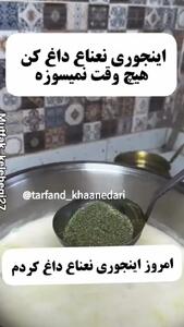 چی کار کنیم نعنا داغ نسوزه؟ / فیلم