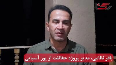 شترها پوشش گیاهی زیستگاه یوزپلنگ ها را می‌بلعند و غذا برایشان باقی نمی‌گذارند / جمعیت شترها بیش از ۲۰ برابر ظرفیت طبیعی منطقه است + فیلم
