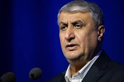هیأت ونزوئلا با رئیس سازمان انرژی اتمی دیدار کرد
