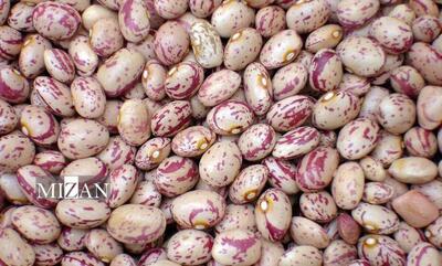 لوبیاچیتی یا گوشت: کدام‌یک گران‌تر است؟