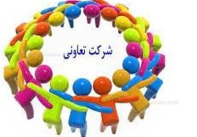 مدیرکل تعاون گیلان: از 7445 تعاونی استان تنها 2528 فعال است - تسنیم