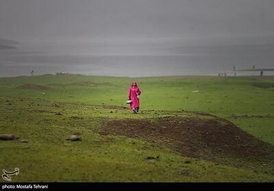 طبیعت سد لفور- عکس خبری تسنیم | Tasnim