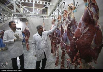 35000کیلو فرآورده غیربهداشتی در استان مرکزی از چرخه مصرف انسانی خارج شد - تسنیم