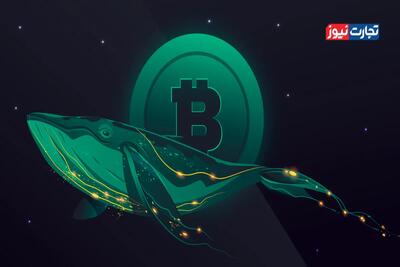 فروش بیت کوین توسط نهنگ‌ها همزمان با ثبات قیمت در 116 هزار دلار