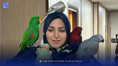 فیلم اجرای خیلی با شکوه المیرا شریفی مقدم در آنتن زنده صدا و سیما ایران : آقا شادش کن آهان ...