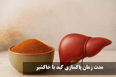 مدت زمان پاکسازی کبد با خاکشیر + طریقه صحیح مصرف خاکشیر برای کبد چرب